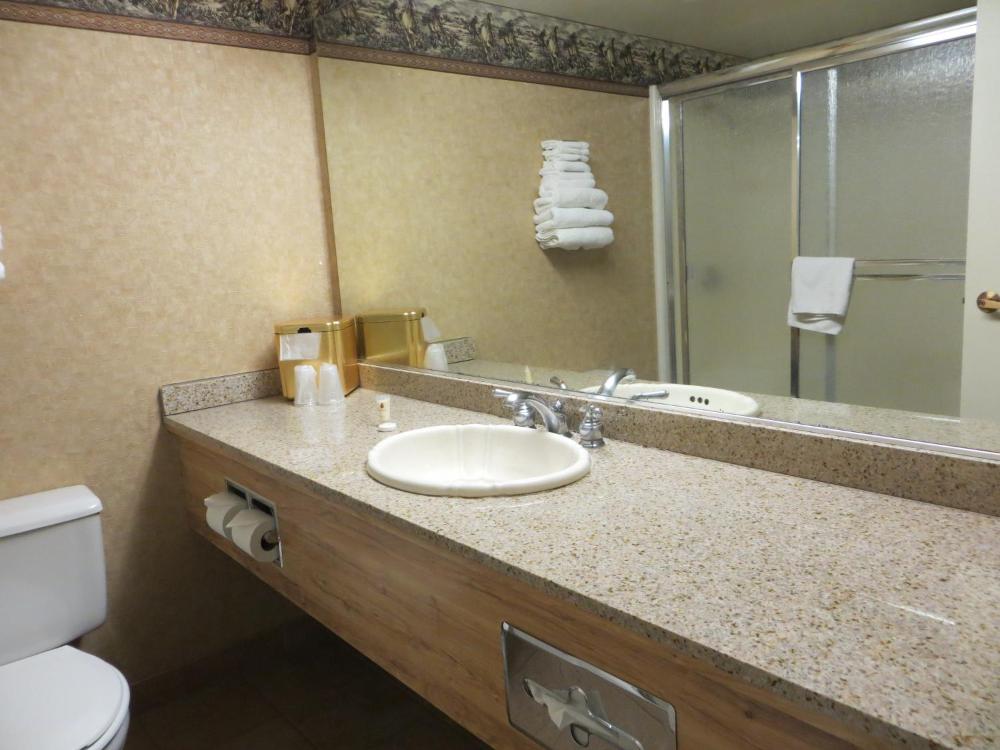 Deluxe King Nonsmoking interior